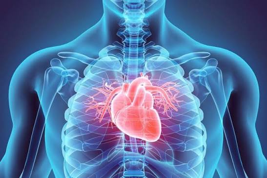 Cardiology