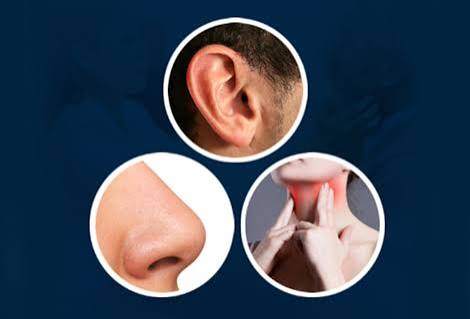 ENT (ear, Nose, & Throat)