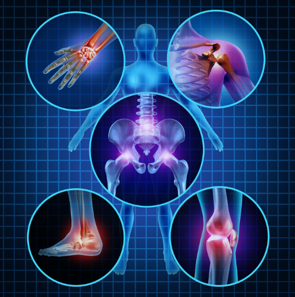 Orthopaedics & Spine